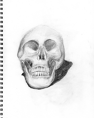 Skull 2 (class assignment).